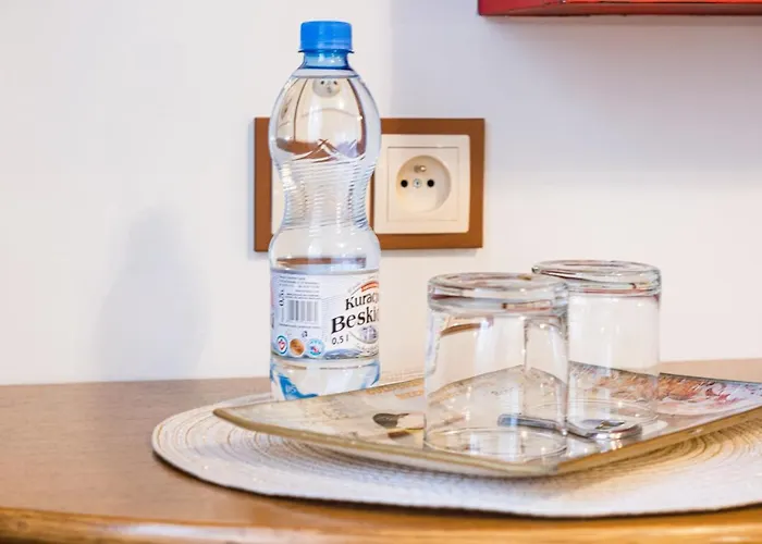 Sylwia 3* سوشنيتسوفيتسه